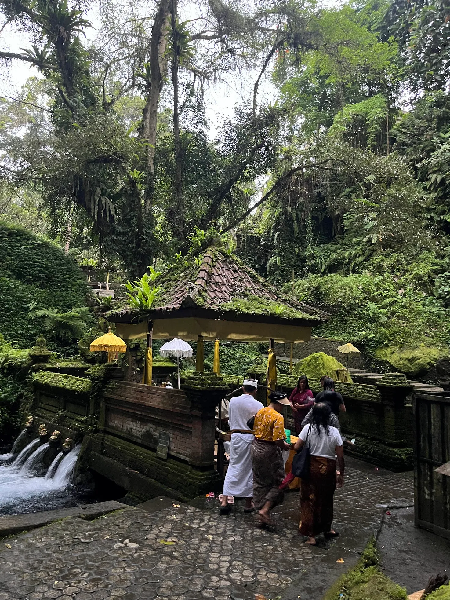 Villagers at the holy spring, Mengening