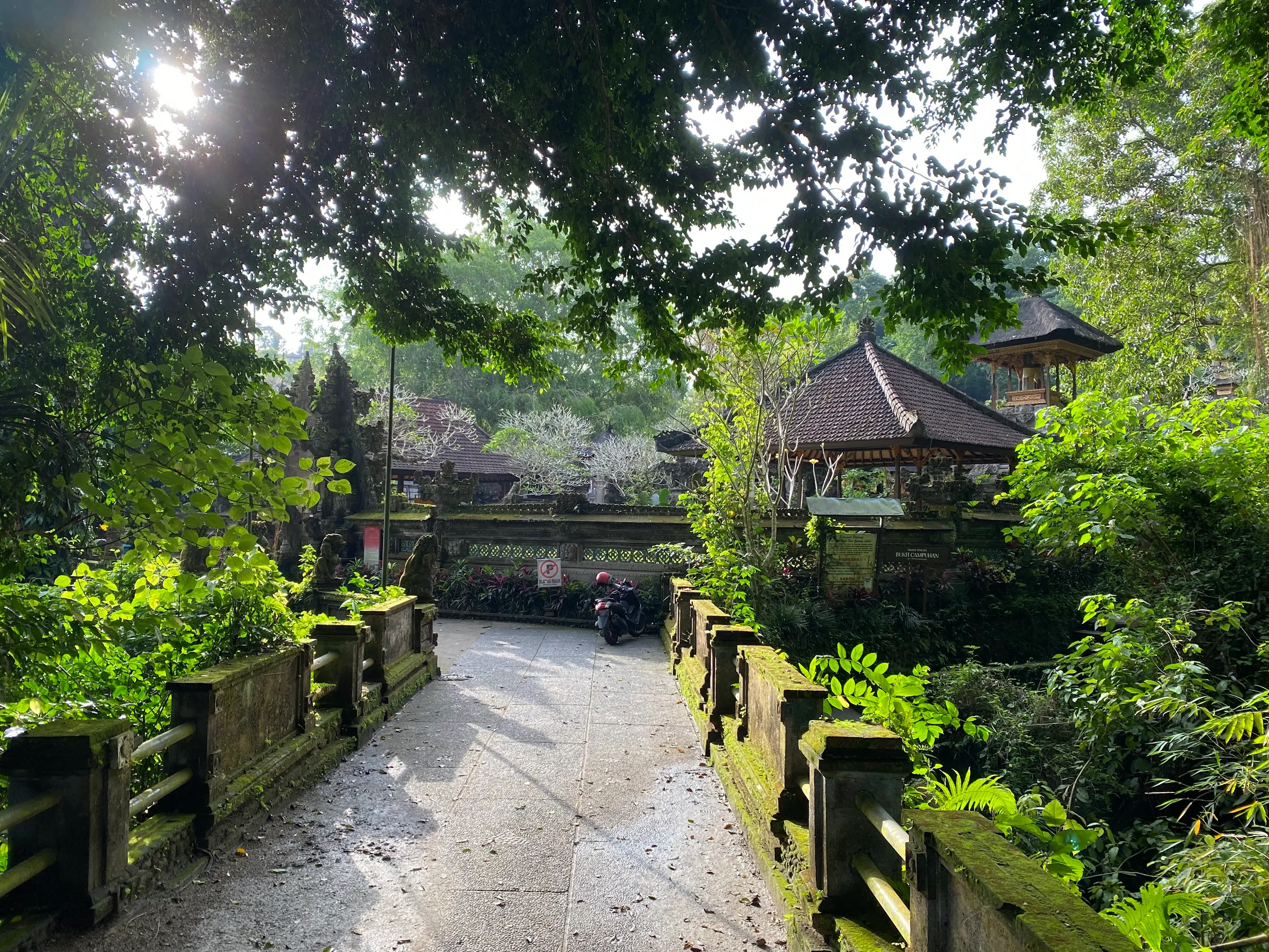A leafy path leading to a temple near Ubud